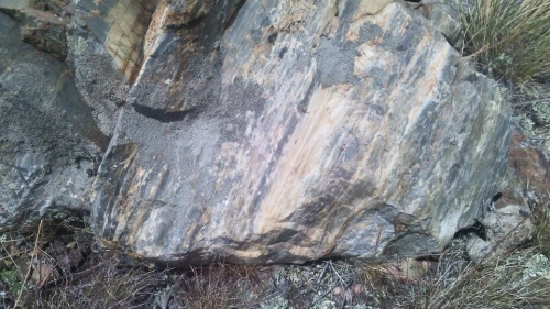 Гигантские зелёные валуны для ландшафтного дизайна весом более 5 тонн купить в Тамбовской области