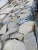 купить плитняк златолит серебристый